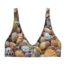 Load image into Gallery viewer, Kaipū Shell Bikini Top