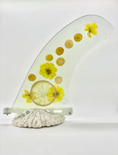 Load image into Gallery viewer, 10.0" Miss Lucy Single Fin