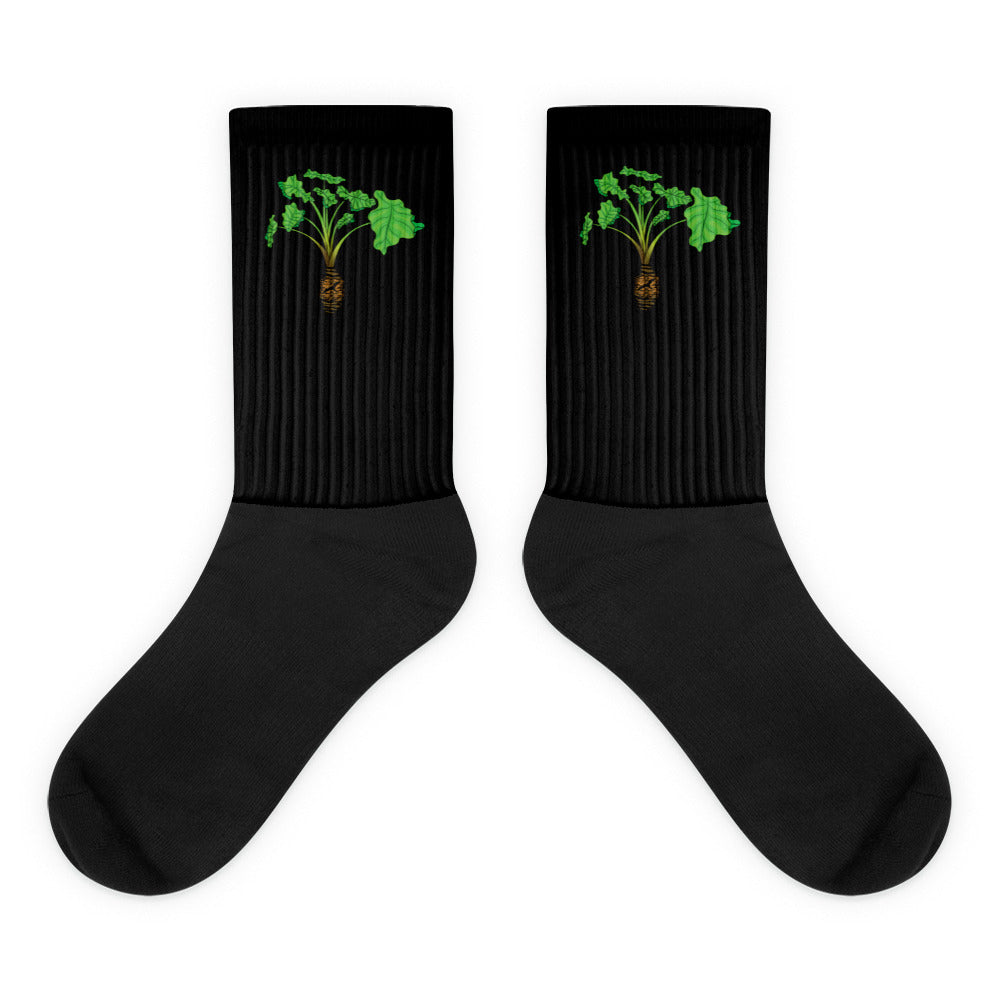 Hāloa Kalo Islands Socks
