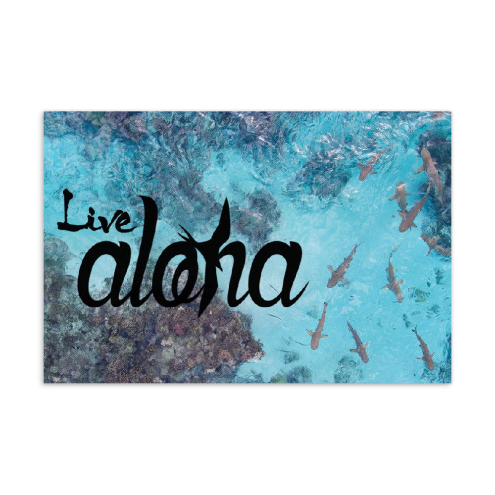 Live Aloha Postcard