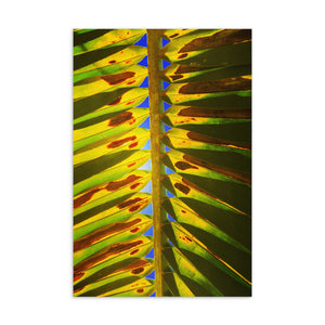 Palm Leaf Postcard